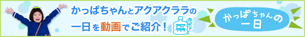 かっぱちゃん特設WEBサイト